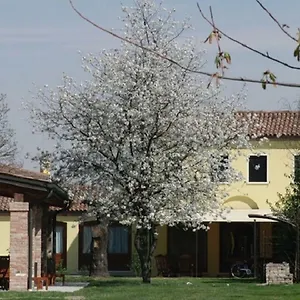 Appartement Particolari Del Brenta
